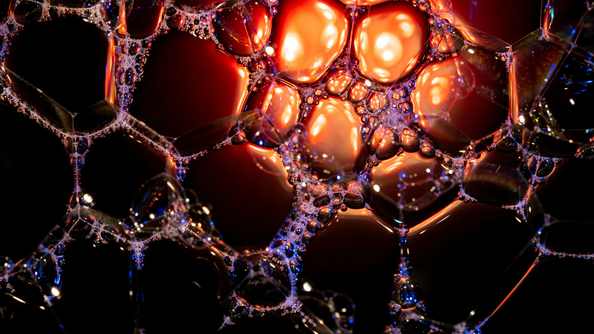 Extreme macro photography of interconnected soap bubbles creating a complex cellular web, reflecting vibrant orange, red, and blue lighting.